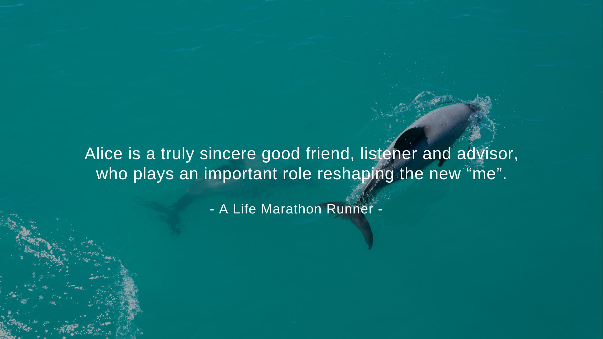A Life Marathon Runner